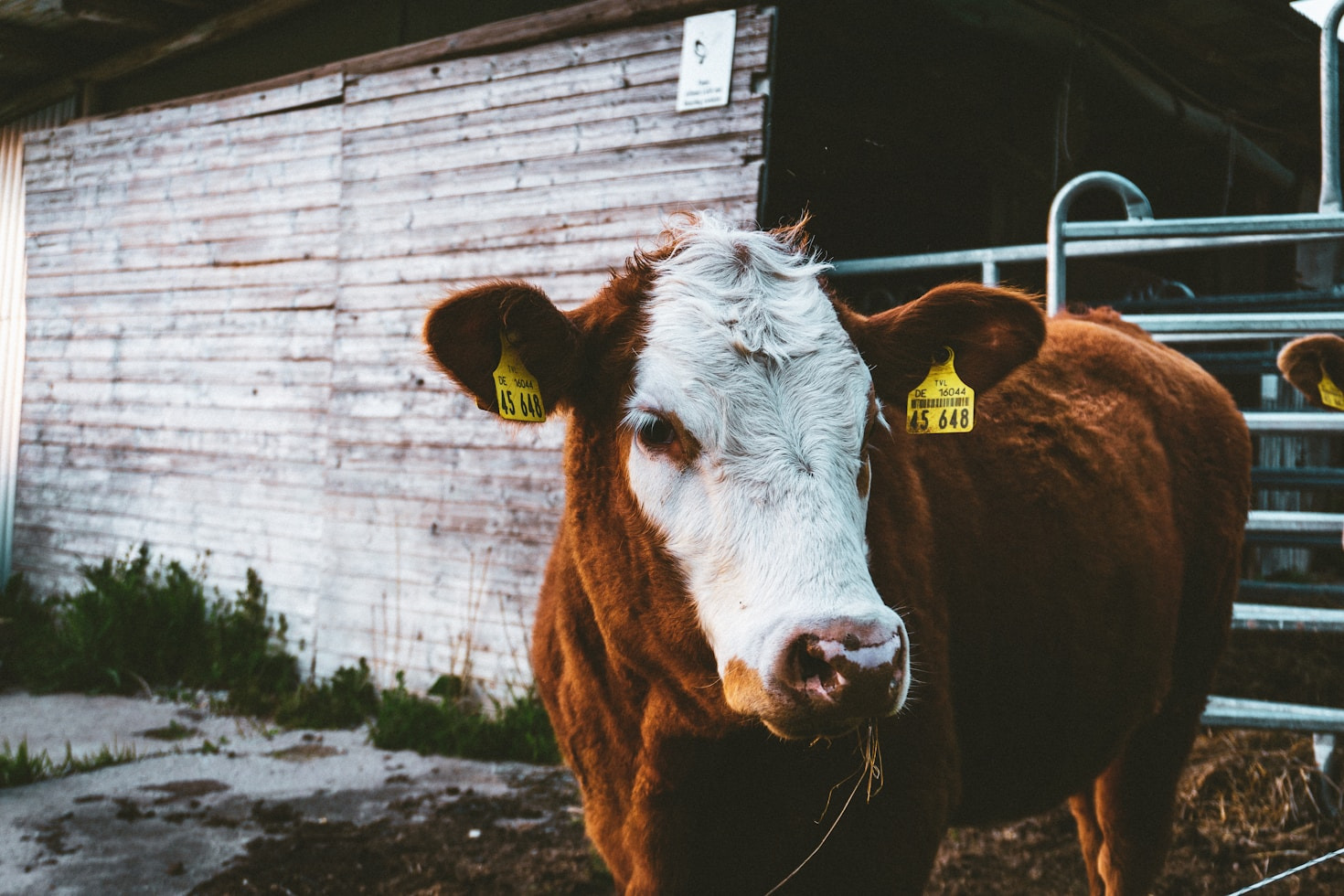 Overcoming Political Challenges in Rural Areas